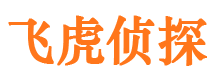 雨山外遇调查取证